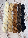 Neutral Joy mini skein set
