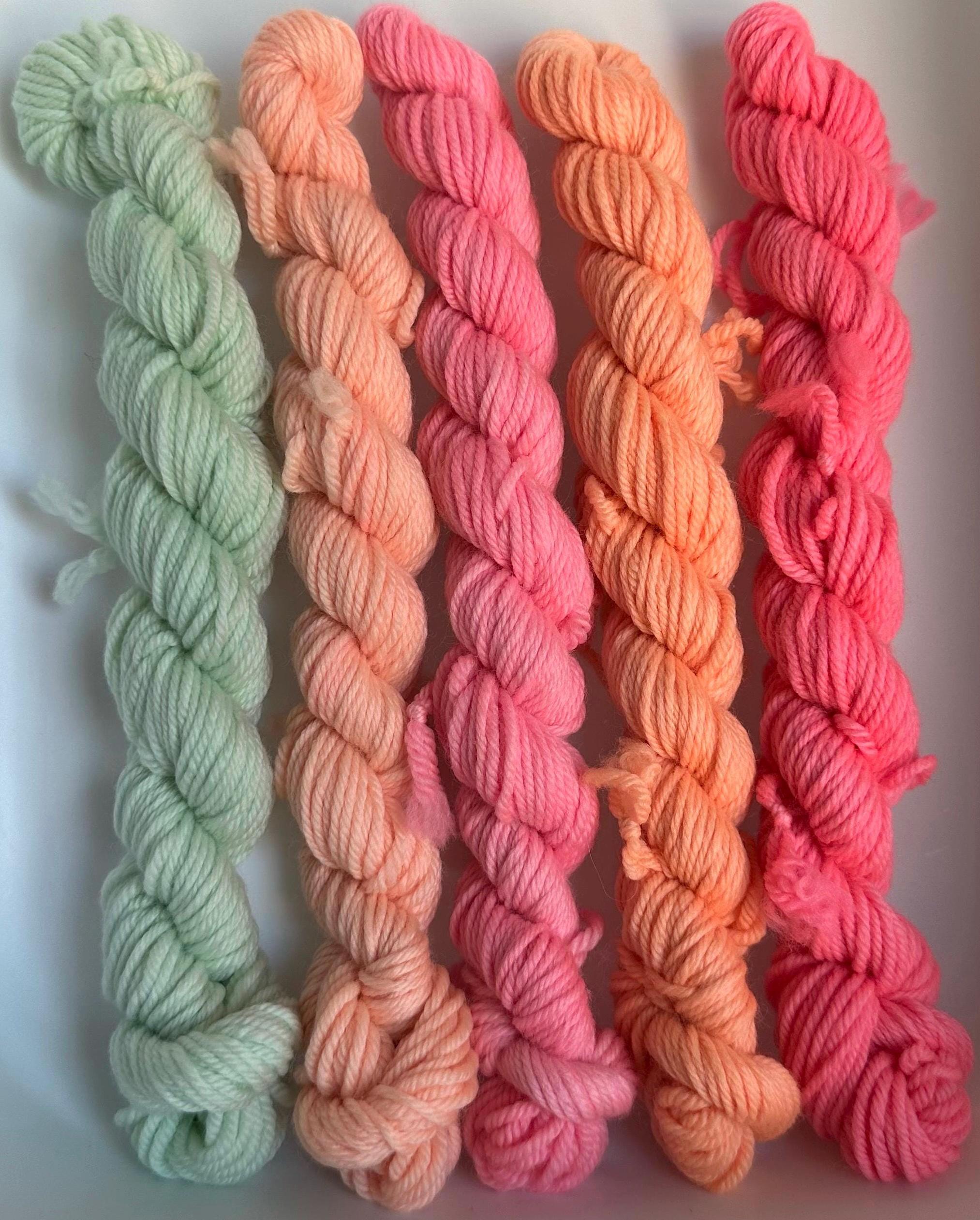 Pretty Pastels DK Mini Skein Set