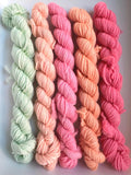 Pretty Pastels DK Mini Skein Set