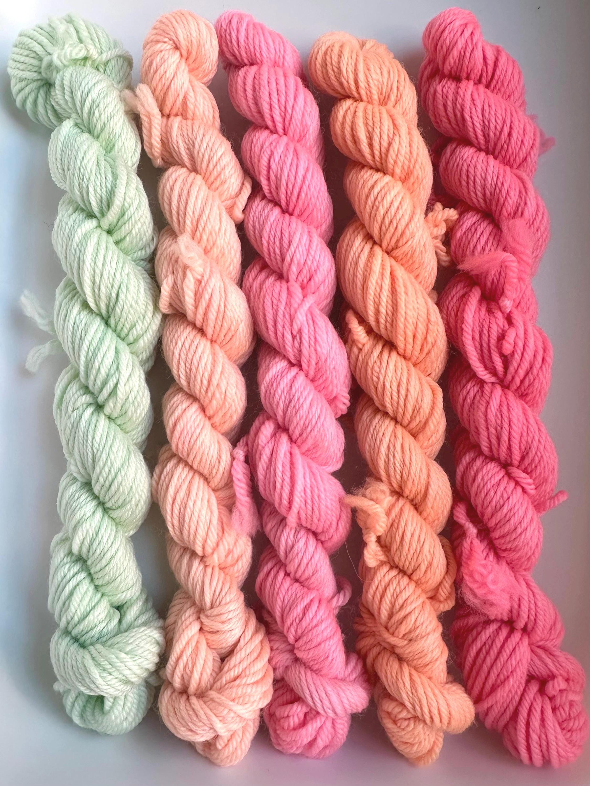 Pretty Pastels DK Mini Skein Set