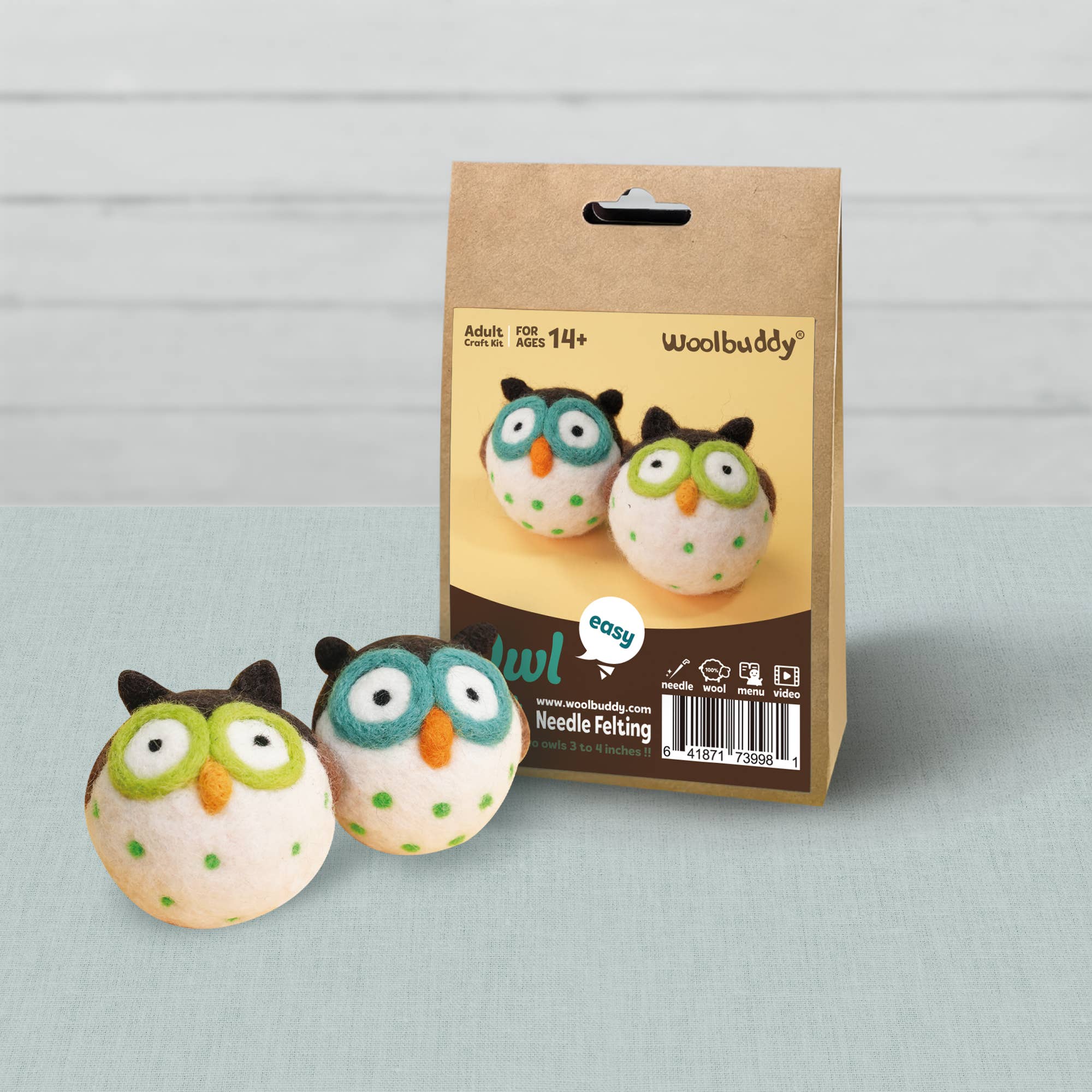 Needle Felting Kit - DIY Owl Craft Kit for Beginners