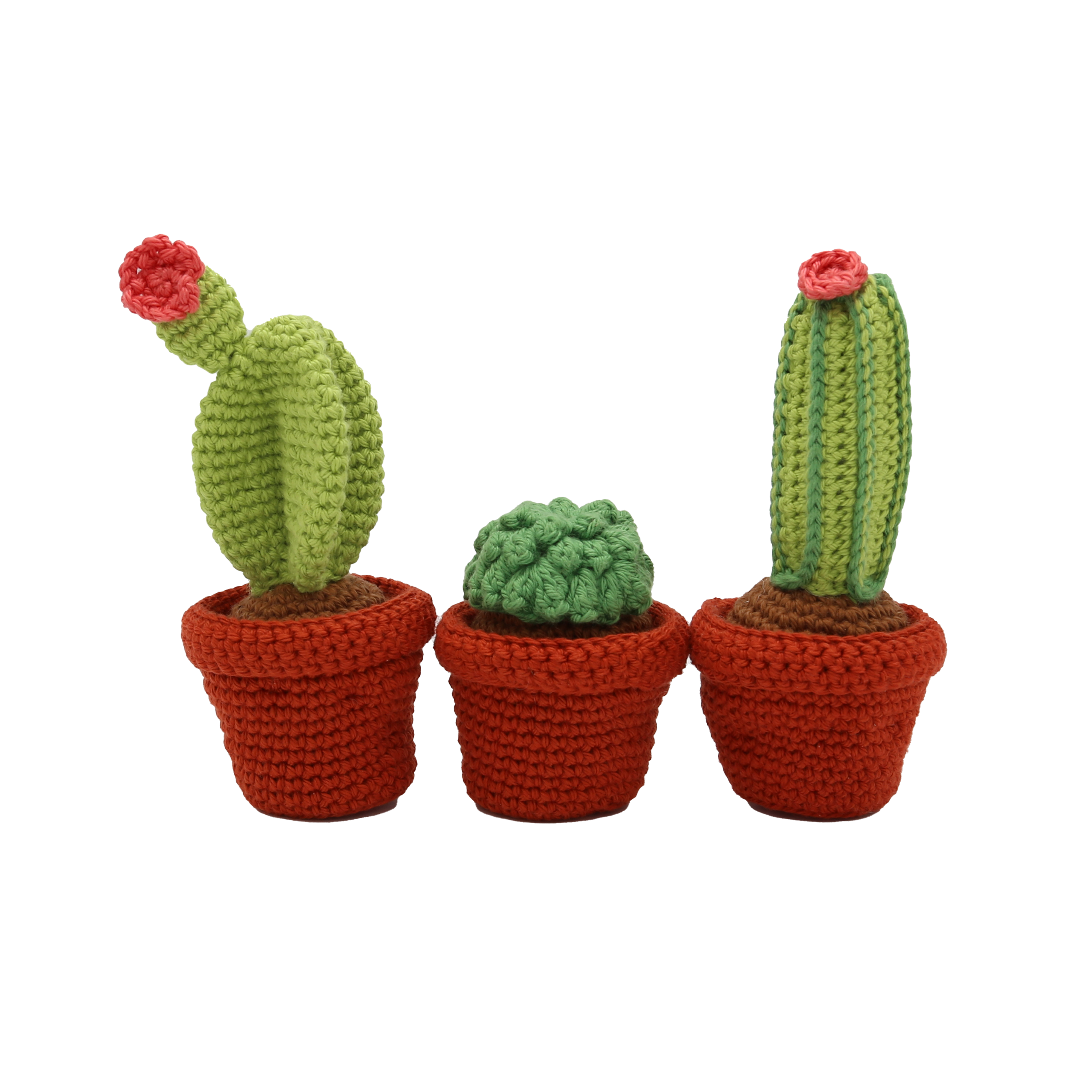 DIY Crochet Kit - Cacti