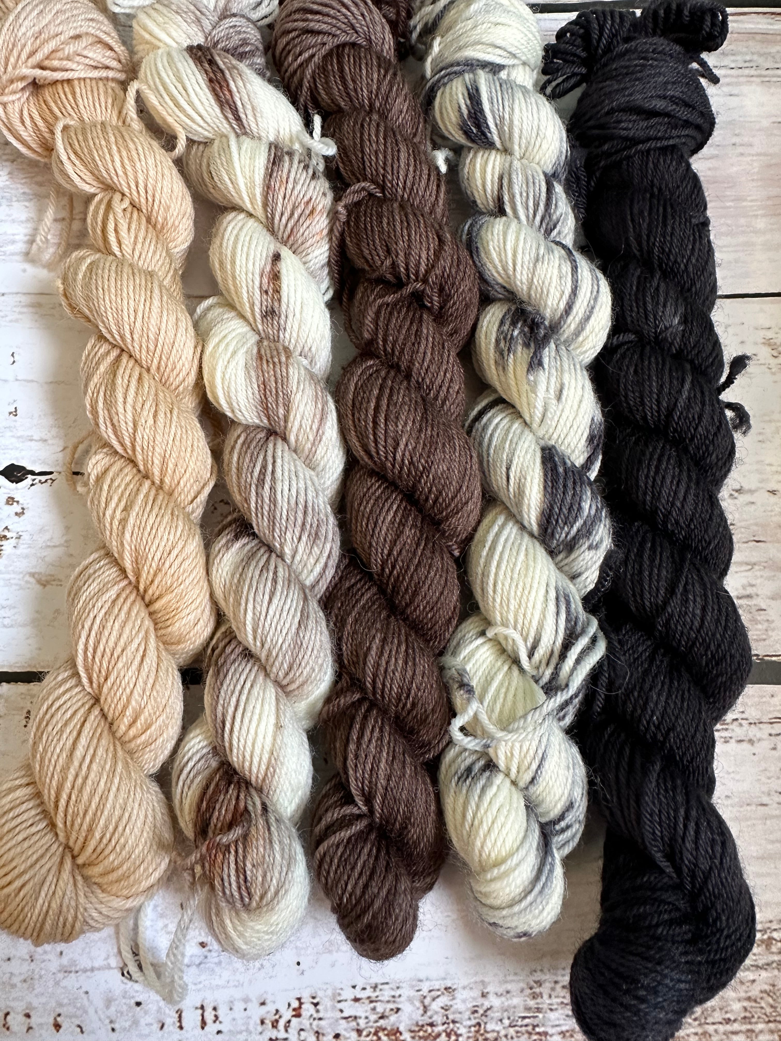 Wisconsin Dairy - a mini skein set