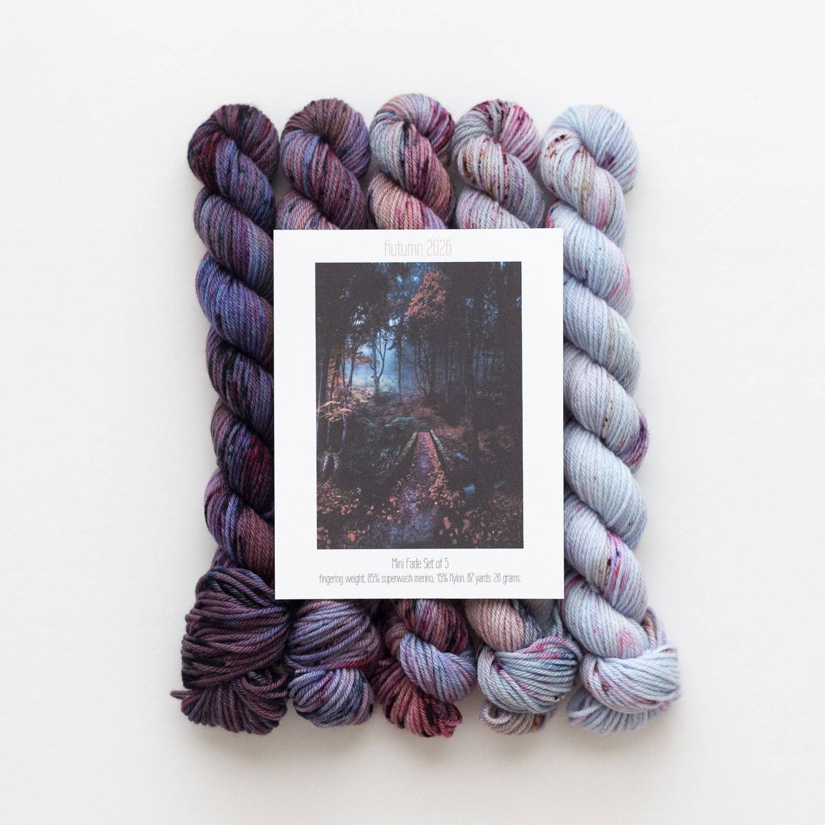 Blush Fiber Co - Autumn Mini Fade Yarn Set