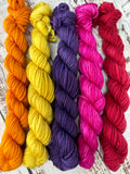 Tart Yarns DK Mini Skein Set