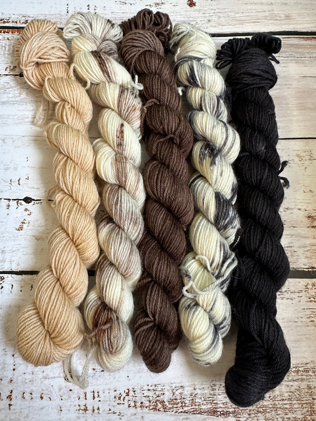 Wisconsin Dairy - a mini skein set