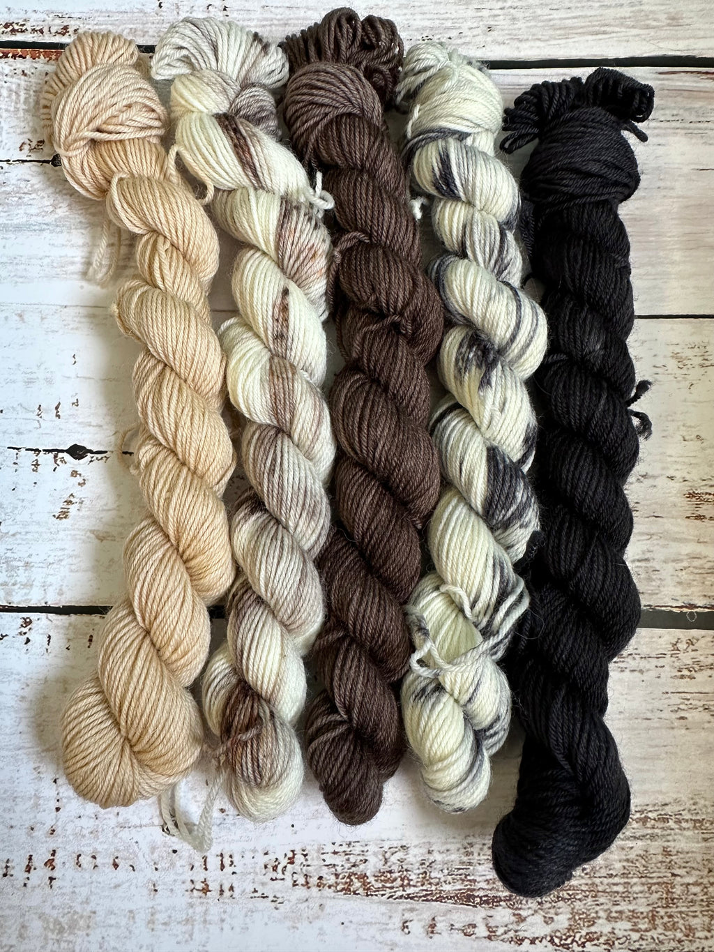 Wisconsin Dairy - a mini skein set