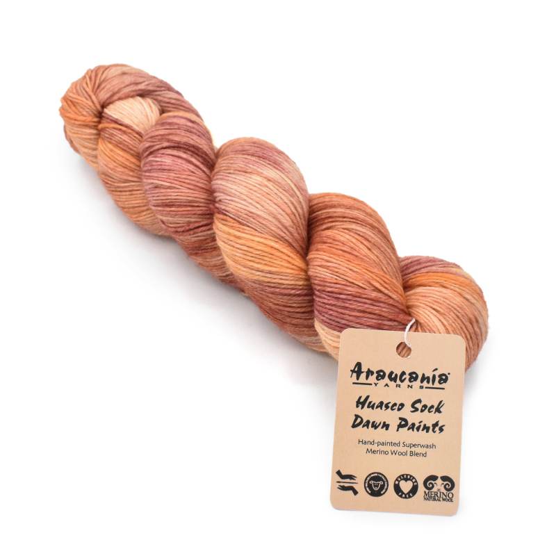 Araucania huasco sock - hand painted
