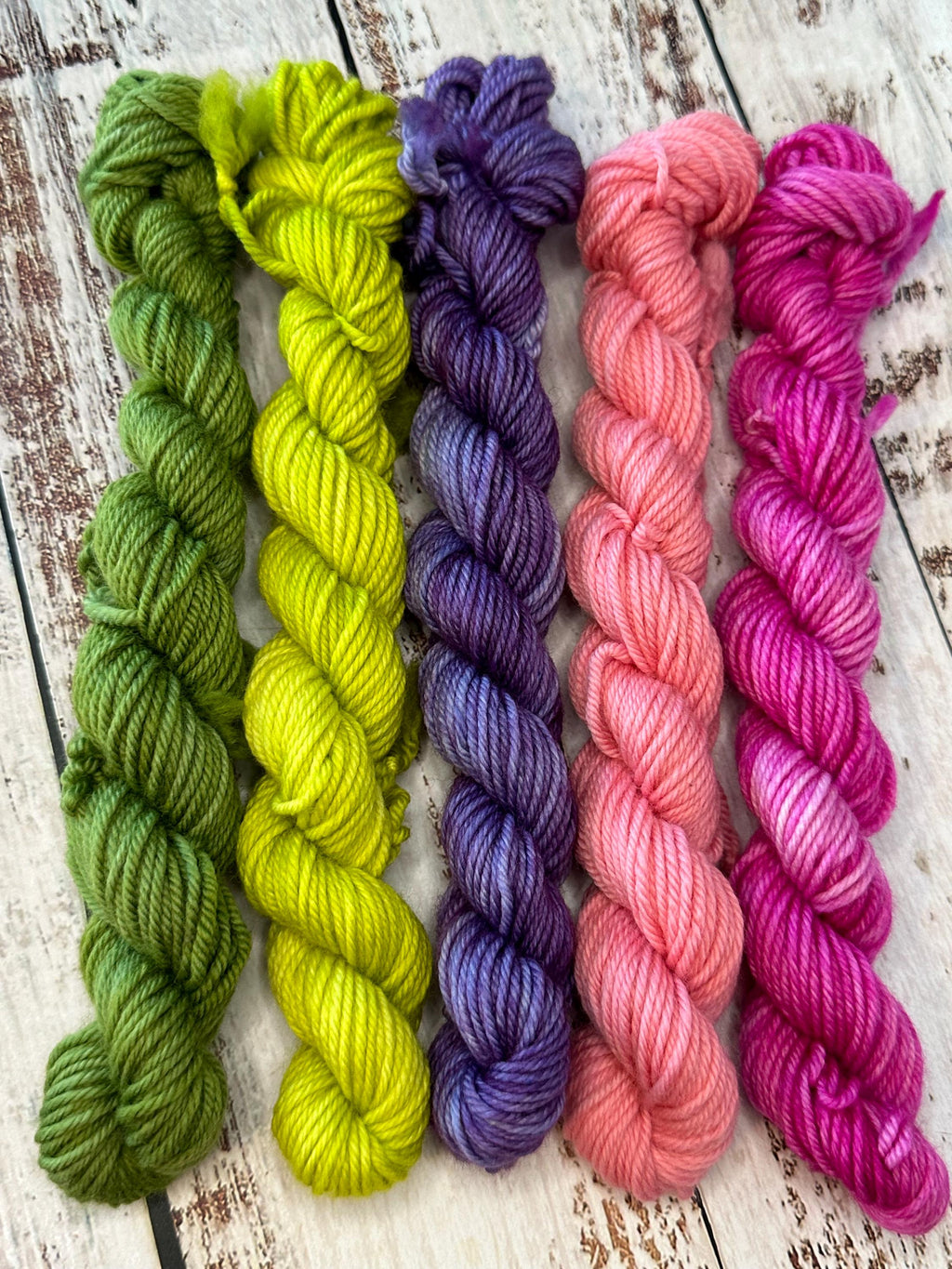 Botanical  DK Mini Skein Set