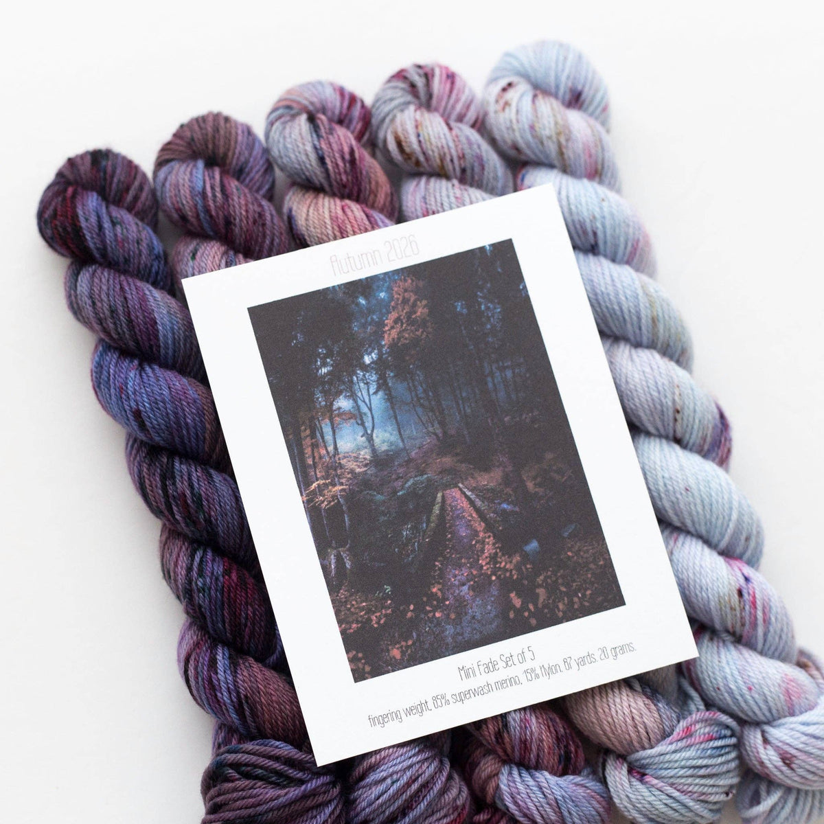 Blush Fiber Co - Autumn Mini Fade Yarn Set