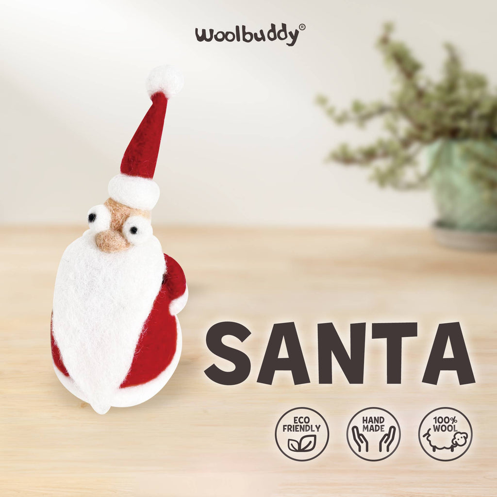 DIY Needle Felting Kit - Santa