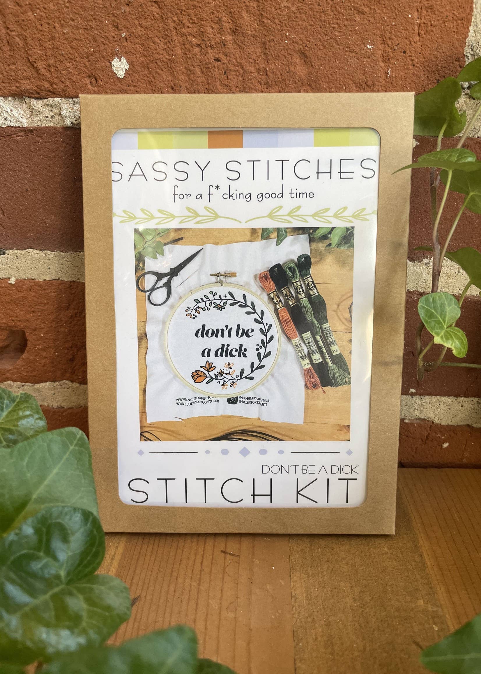 DIY Stitch Kit - Don't Be a Dick - Sassy Embroidery Kit